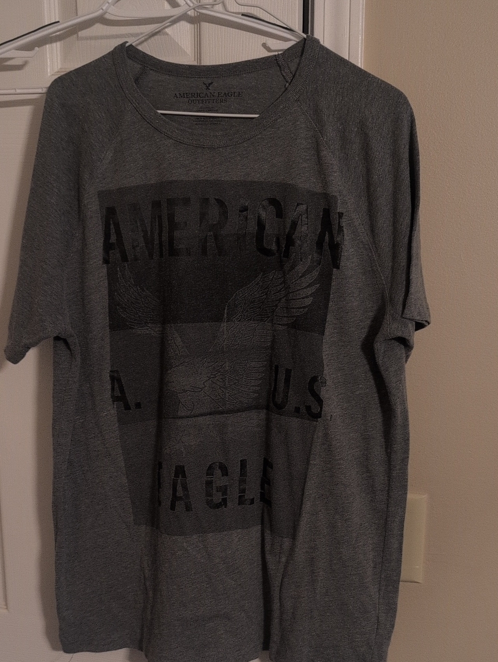 American Eagle Outfitters Men’s Gray Graphic Tee